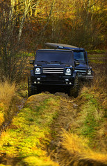 SUV or two black offroad cars on fall nature background. Offroad race in autumn forest. Car racing, extreme and four wheel drive vehicles concept © Volodymyr