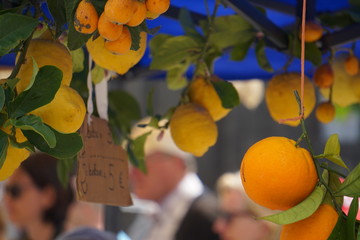 Zitrusfr&uuml;chte_IR