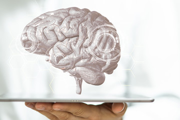 brain