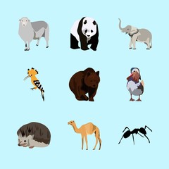 animals icons set