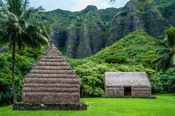 Hawaiian Huts