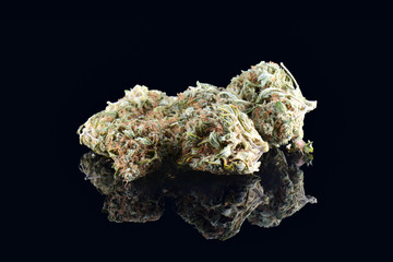 Alot of Medical marijuana bud isolated on black background. Therapeutic and medicinal cannabis weed with reflection close up