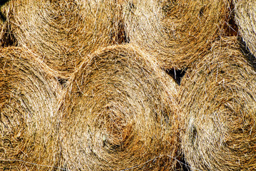 BALLE DI FIENO, Hay