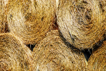 BALLE DI FIENO, Hay