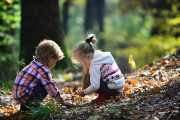 Childhood and child friendship. Children pick acorns from oak trees. Brother and sister camping in...