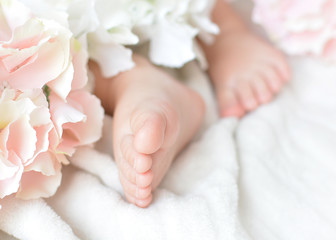 Baby feet close-up. Maternal happiness. A mockup image for advertising children's products.