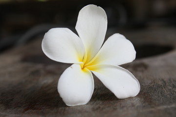 Obraz na płótnie Canvas Flower on wooden table