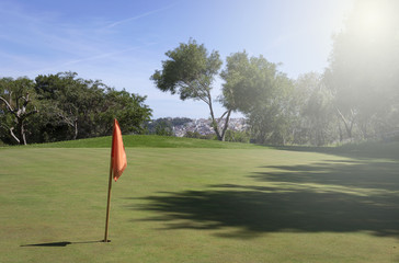 Golf course. Details