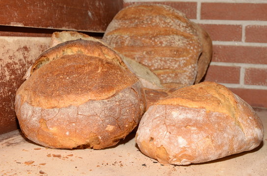 Pane Pugliese