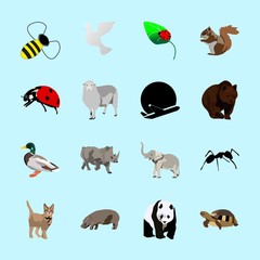 Obraz premium animals icons set