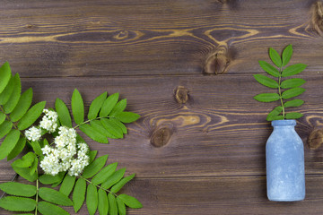Branches of spring trees with flowers and a small bottle on the table