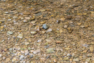 Kies im Wasser am Strand