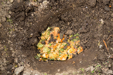 Vegetable pulps as natural compost