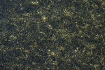 Textured wavy clear water over a dark bottom on a Summer day