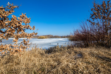 Großer Teich in Limbach