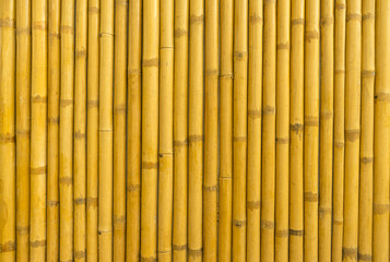 bamboo fence background texture
