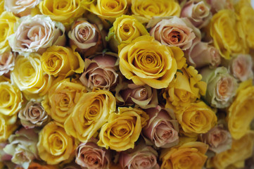 Obraz na płótnie Canvas Bouquet of yellow roses