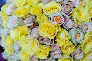 Bouquet of yellow roses