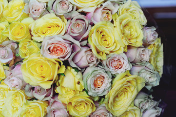 Bouquet of yellow roses