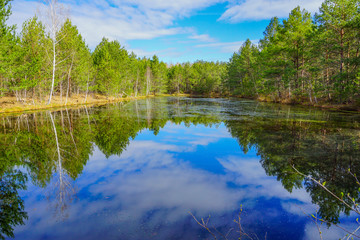 bosque con lago en Bielorrusia