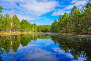bosque con lago en Bielorrusia