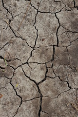 Cracked of clay soil texture, clay soil background