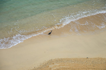 Kouki beach in Nago on Okinawa island in Japan. Beautiful turquoise water color of the South China sea.