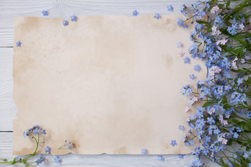  Forget-me-not flowers on a white wooden background and paper for congratulations text, letter