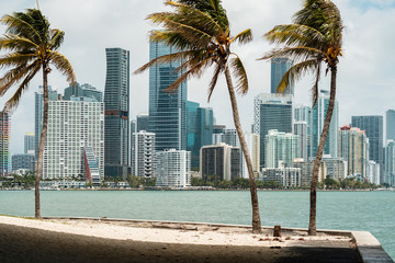 Downtown Miami Skyline