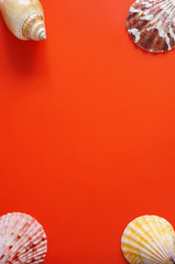 Frame with seashells in the corners, orange background