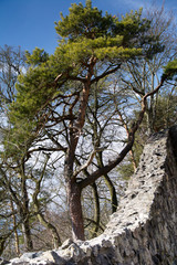 Castle near Boskovice, Czech Republic