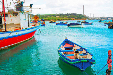 Fototapeta na wymiar Dogs at Luzzu colored boats Marsaxlokk Bay Malta