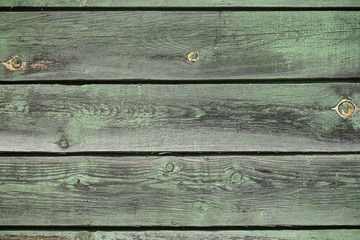Green wooden texture as background