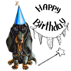 Black dog of the Dachshund breed. A birthday sign, flags and a magic wand. Isolated on white background.