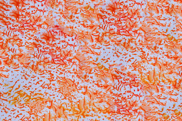 background of orange and red divorces on white paper