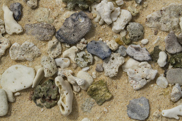 Broken corals on the beautiful and pristine beach 