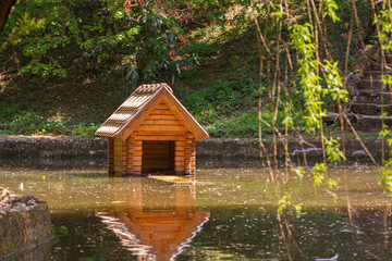 Obraz premium house on lake for water birds