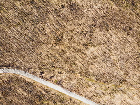 Landscape of highway and hills with bushes