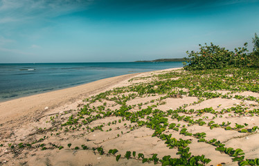 Hermosa playa virgen en Cienfuegos, Cuba