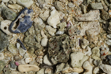 Broken corals on the beautiful and pristine beach 