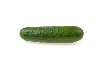 fresh green cucumber on a white background
