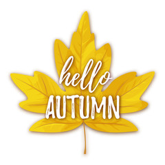 Fototapeta premium Vector illustration, Autumn greeting card