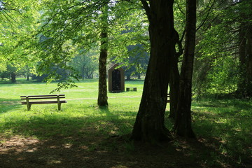 Fototapete bei efototapeten.de bestellen   