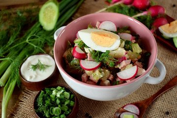 Ingredients for preparing the cold soup okroshka. Russian cuisine traditional meal