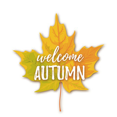 Vector illustration, Autumn greeting card