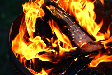 bright fire on burning wood