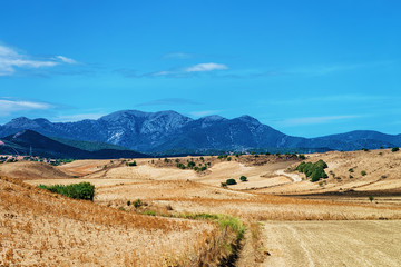 Rural landscape Villasor Cagliari South Sardinia