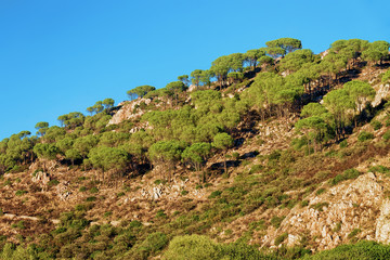 Fototapeta na wymiar Scenery with mountains Cagliari province Sardinia