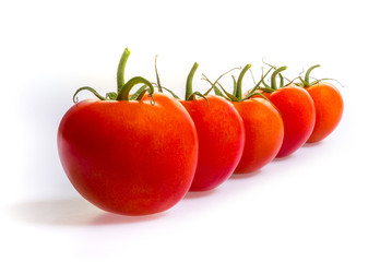 Reife rote Tomaten in einer Reihe - gestackte Aufnahme