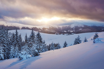Majestic sunset at small village on a snowy hill under Ukrainian. Villages in the mountains in winter. Beautiful winter landscape. Carpathians, Ukraine, Europe